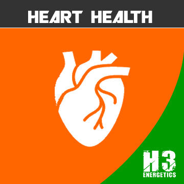 The Importance of a Healthy Heart