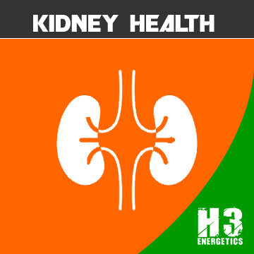 Why Kidney Health is Important